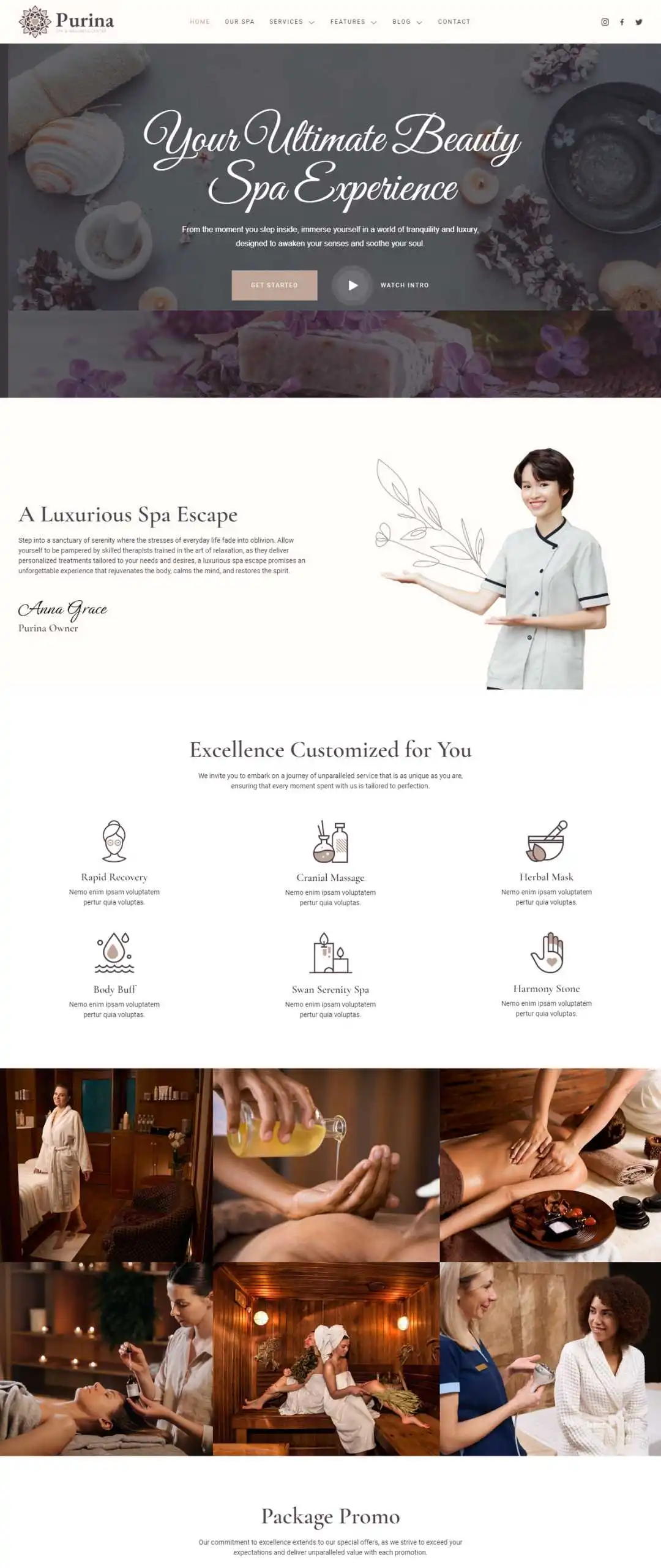 spa website development in usa